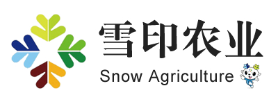 安徽先兆科技有限公司